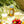 ゴスネル オブ ロンドンズオリジナルワイルドフラワースパークリングハニーミードの缶とグラス、日差しの中のピクニックブランケットに添えられたイチゴ付き