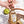 バスケットの中のブルドリュッシュ ラベンダーハチミツ 750mlボトルとブドウやハムの画像